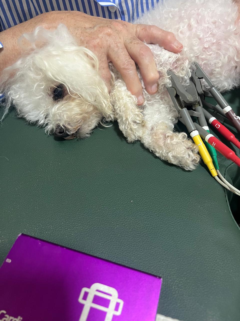 Eletrocardiograma
